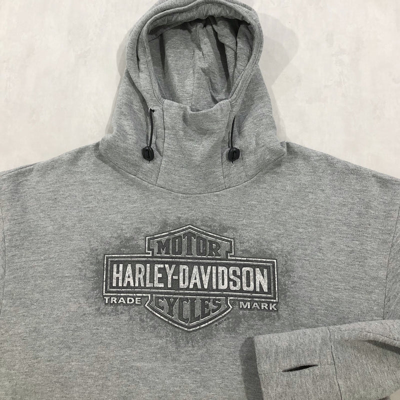 Harley Davidson Hoodie St. Paul Minnesota (M)