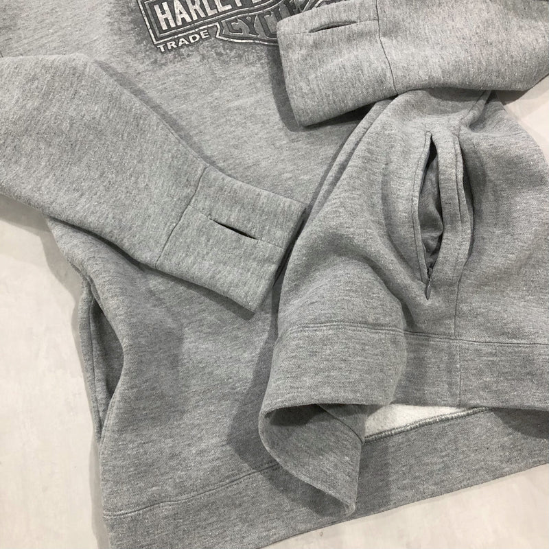 Harley Davidson Hoodie St. Paul Minnesota (M)