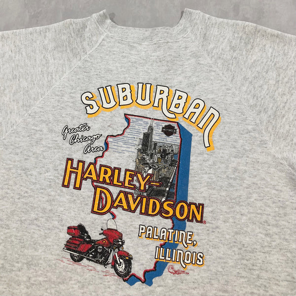 Vintage Hanes Sweatshirt Harley Davidson USA (L)