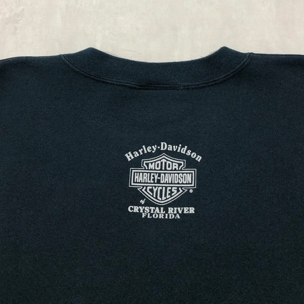 Harley Davidson Sweatshirt Crystal River Florida (S-M)