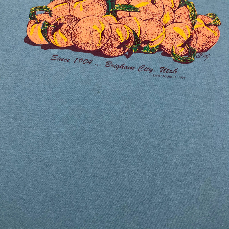 Vintage T-Shirt 1998 Peach Days (L)