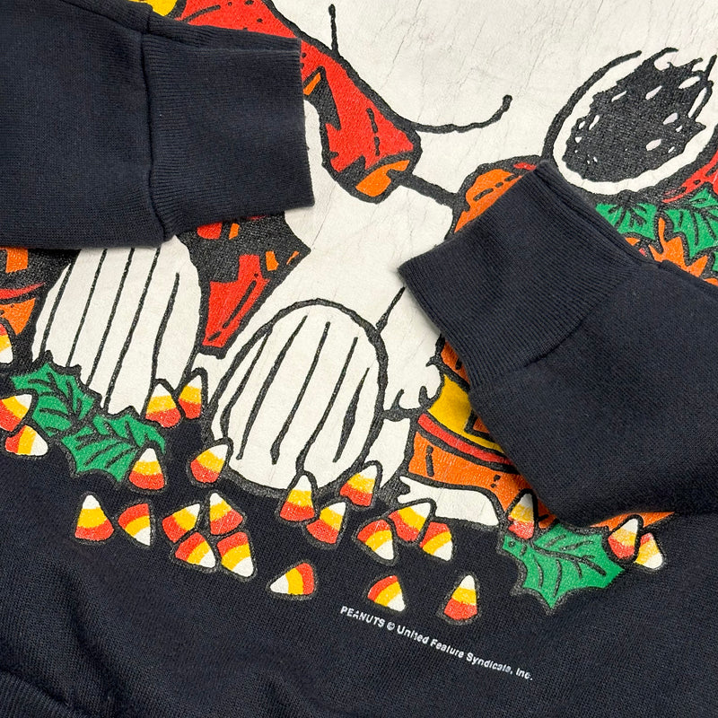 Vintage Peanuts Sweater Snoopy USA (M)
