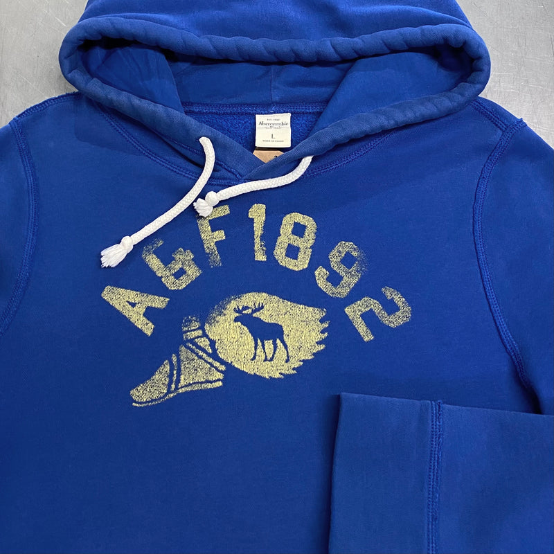 Abercrombie & Fitch Hoodie (L)