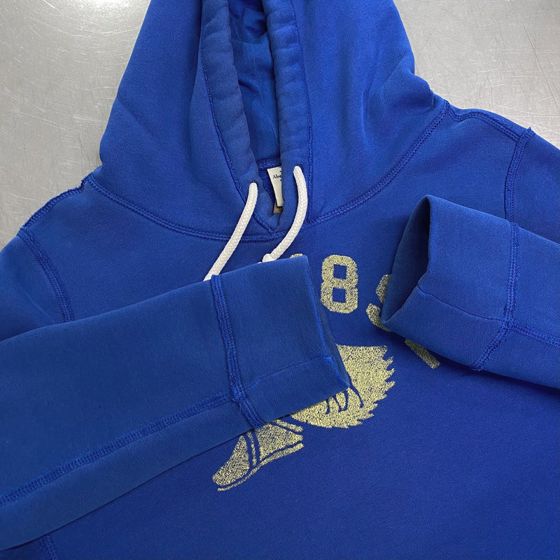 Abercrombie & Fitch Hoodie (L)