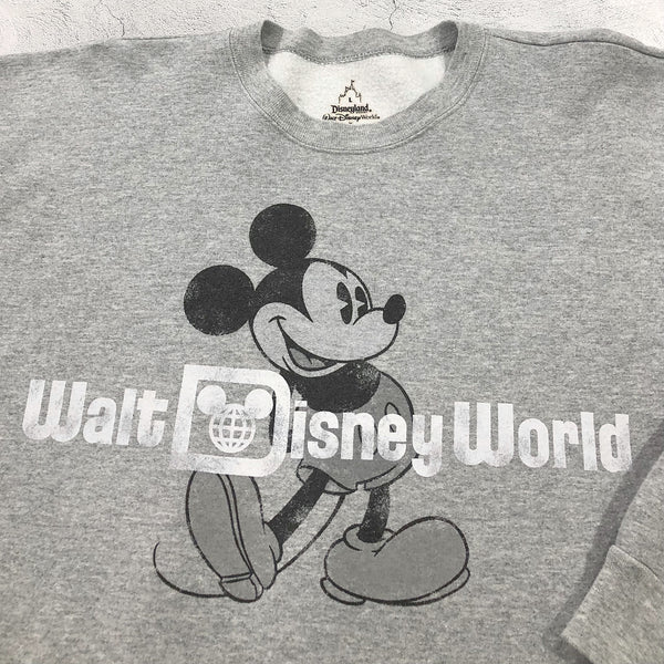 Disney Fleeced Sweatshirt Walt Disney World (L)