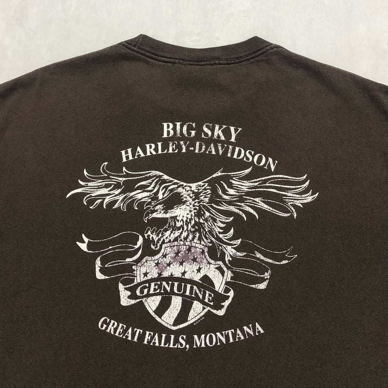 Harley Davidson T-Shirt Great Falls Montana (XL)