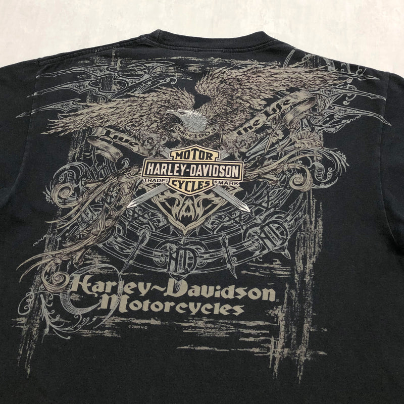 Harley Davidson T-Shirt Bourne Massachusetts (L)