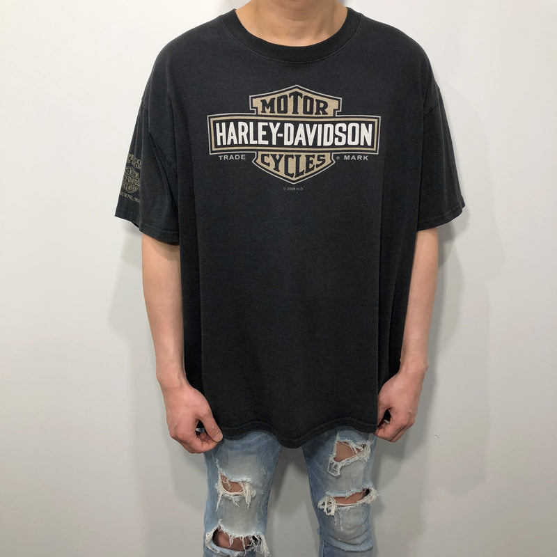 Harley Davidson T-Shirt Bourne Massachusetts (L)