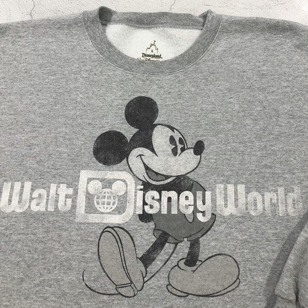 Disney Fleeced Sweatshirt Walt Disney World (L)