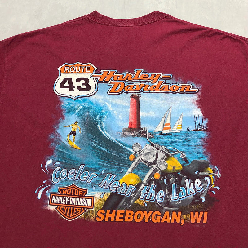 Harley Davidson T-Shirt Sheboygan Wisconsin (XL/TALL)