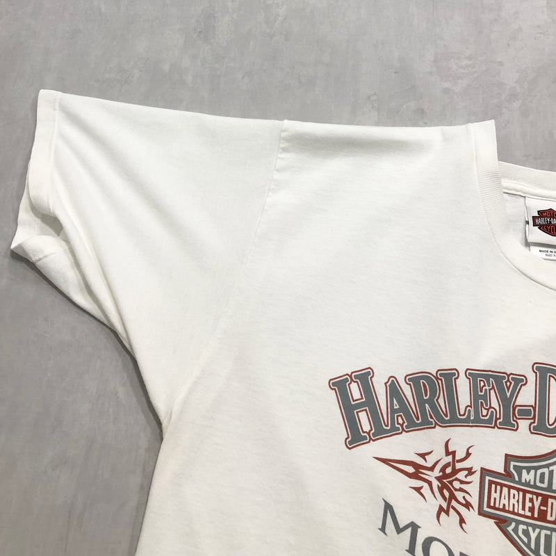 Harley Davidson T-Shirt Rock Hill South Carolina USA (XL/TALL)
