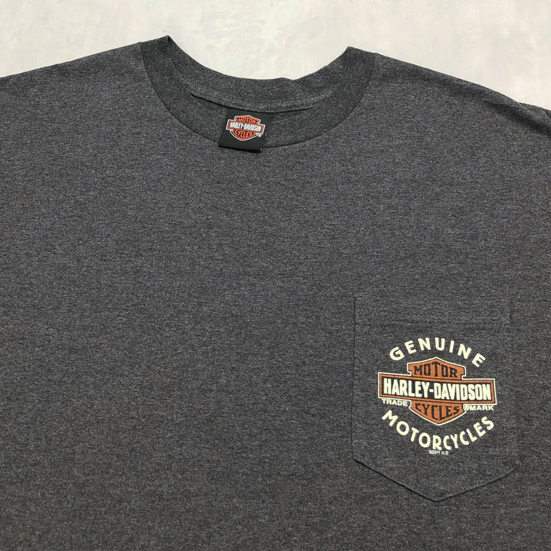 Harley Davidson T-Shirt Crystal River Florida (3XL/TALL)