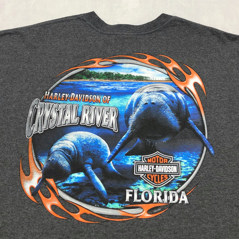 Harley Davidson T-Shirt Crystal River Florida (3XL/TALL)