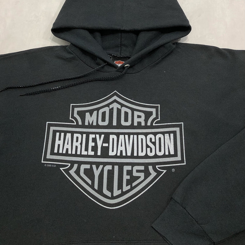 Harley Davidson Hoodie 2000 Charleston South Carolina (L)