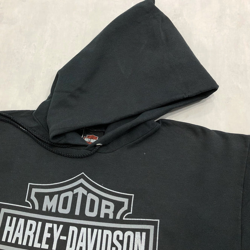 Harley Davidson Hoodie 2000 Charleston South Carolina (L)