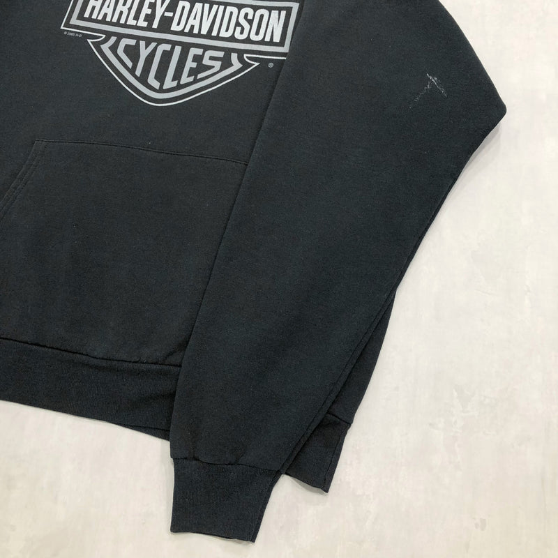 Harley Davidson Hoodie 2000 Charleston South Carolina (L)