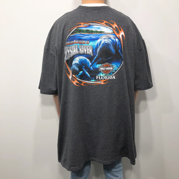 Harley Davidson T-Shirt Crystal River Florida (3XL/TALL)