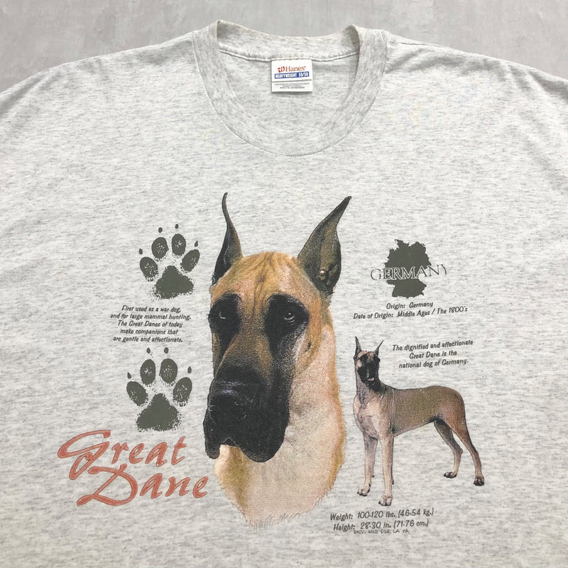 Hanes T-Shirt Great Dane (XL)
