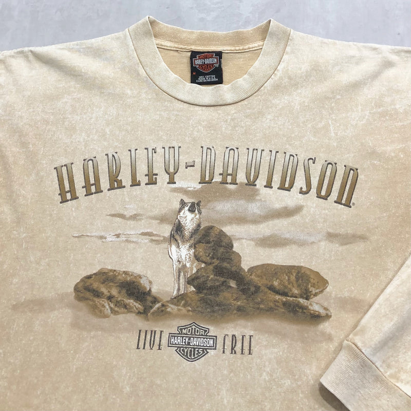 Harley Davidson T-Shirt Palm Springs California USA (M)
