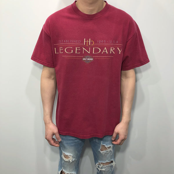 Harley Davidson T-Shirt Batavia New York USA (M)