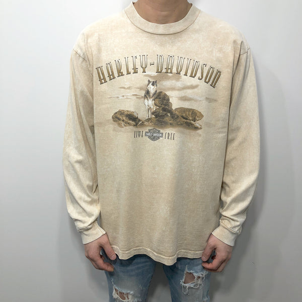 Harley Davidson T-Shirt Palm Springs California USA (M)