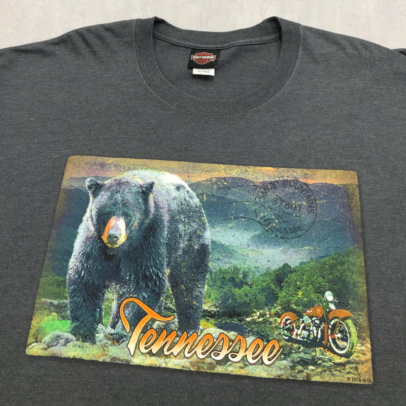 Harley Davidson T-Shirt Pigeon Forge Tennesse (4XL/TALL)