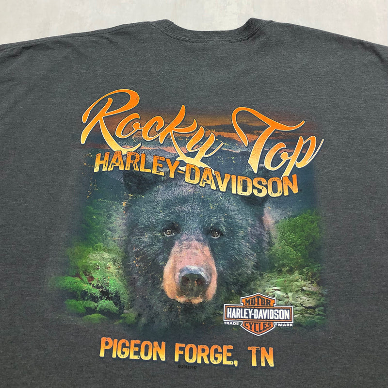 Harley Davidson T-Shirt Pigeon Forge Tennesse (4XL/TALL)