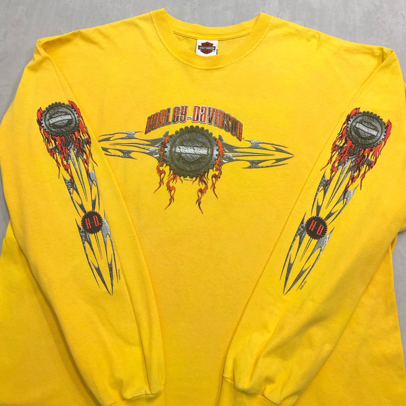 Harley Davidson T-Shirt Waynesboro Virginia USA (2XL)