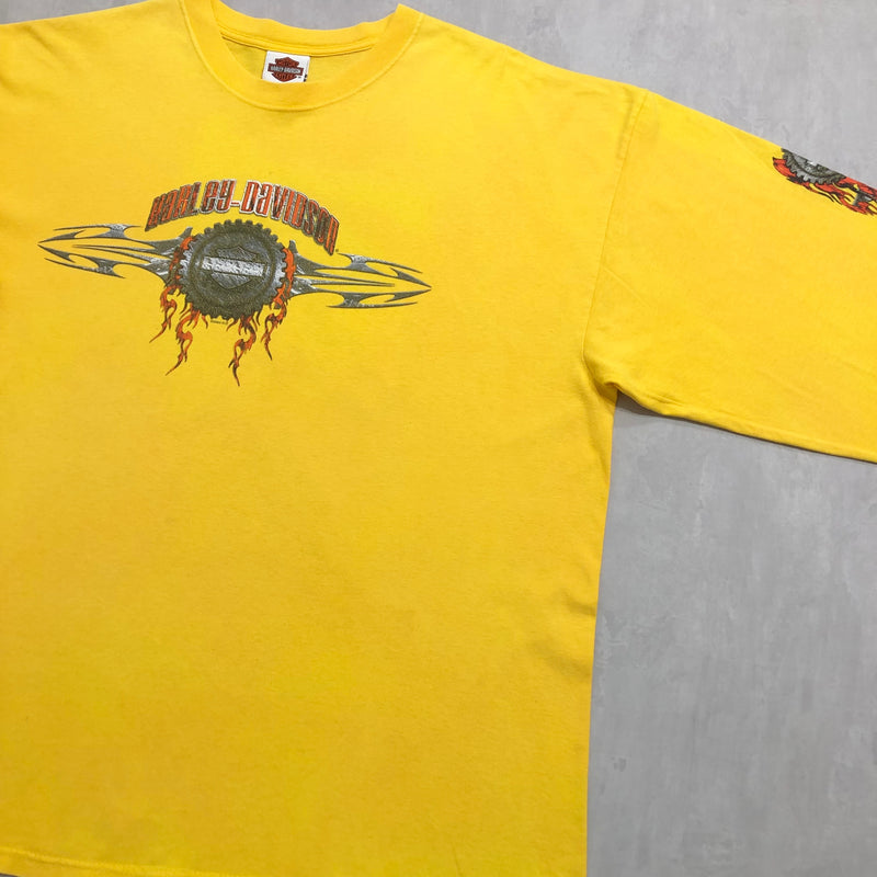 Harley Davidson T-Shirt Waynesboro Virginia USA (2XL)