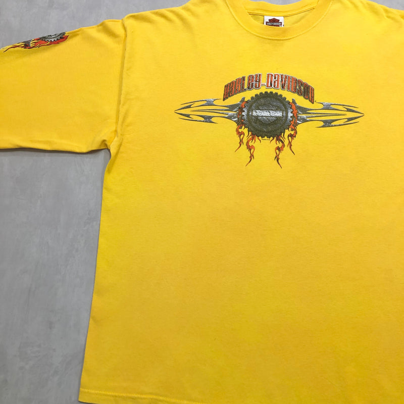 Harley Davidson T-Shirt Waynesboro Virginia USA (2XL)