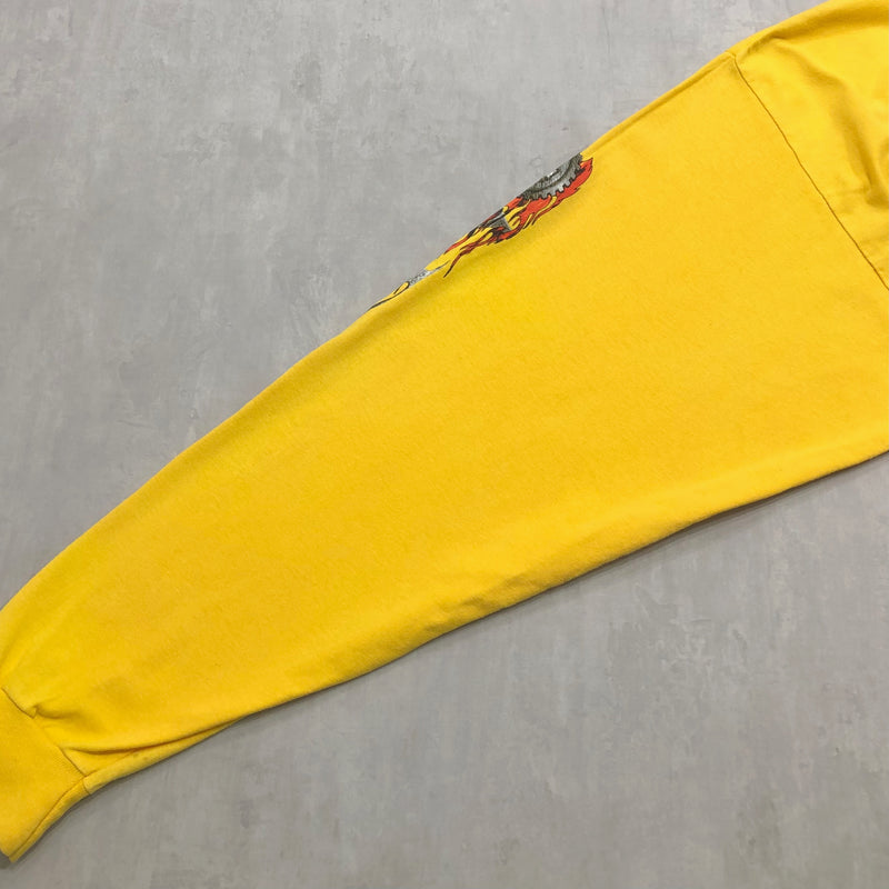 Harley Davidson T-Shirt Waynesboro Virginia USA (2XL)