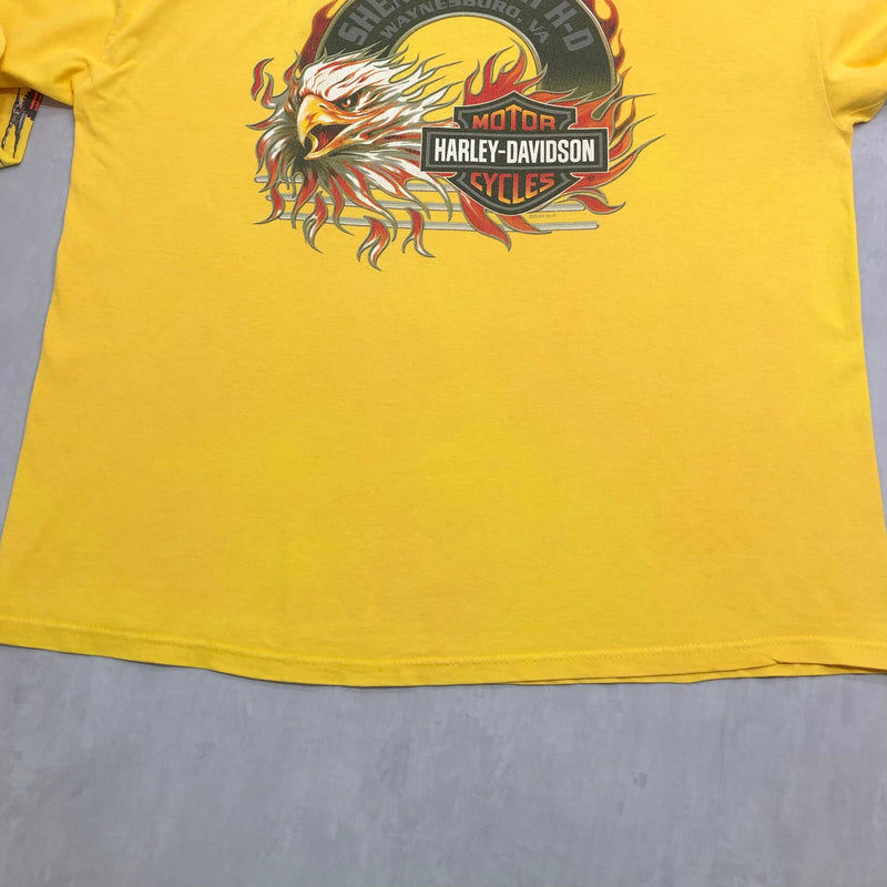 Harley Davidson T-Shirt Waynesboro Virginia USA (2XL)