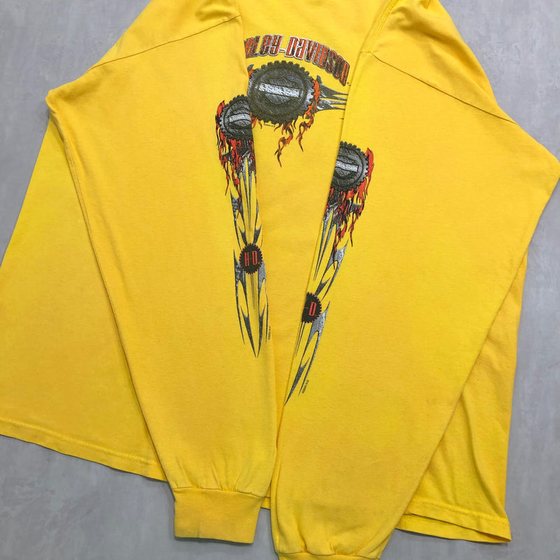 Harley Davidson T-Shirt Waynesboro Virginia USA (2XL)