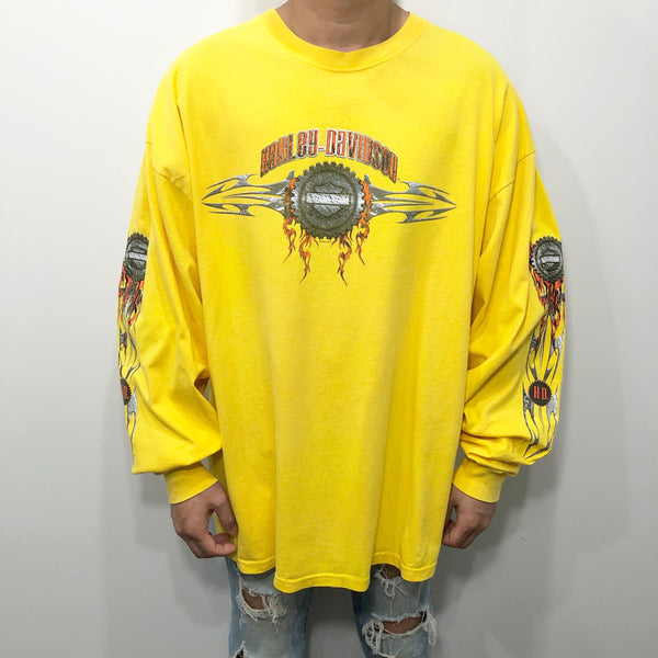 Harley Davidson T-Shirt Waynesboro Virginia USA (2XL)