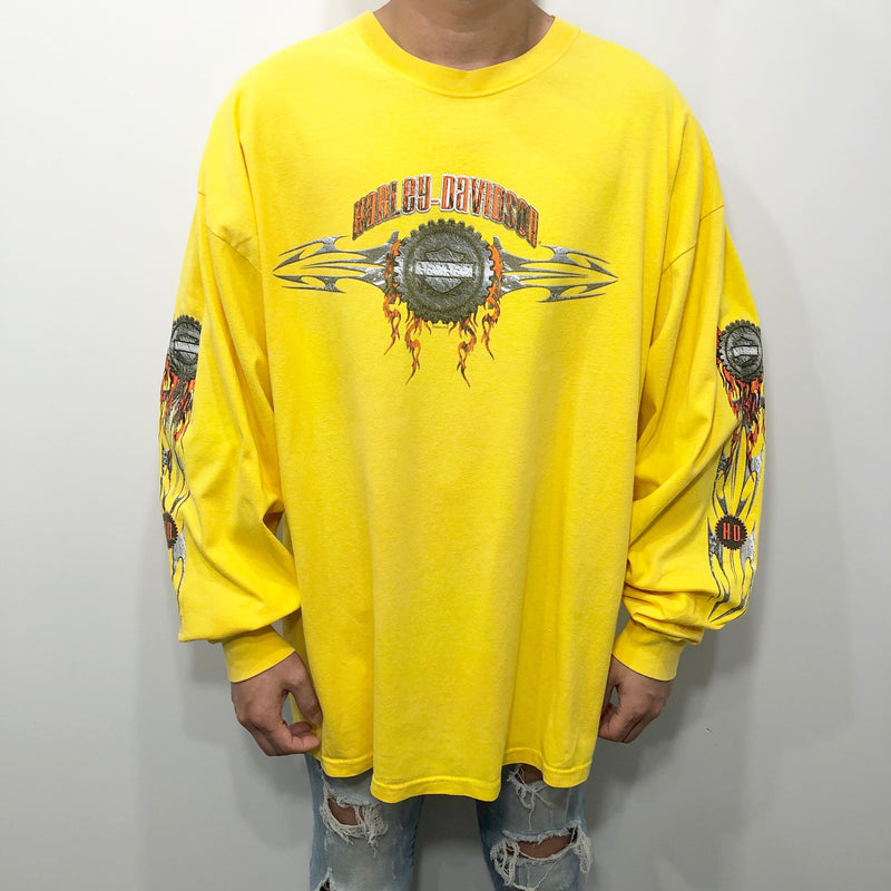 Harley Davidson T-Shirt Waynesboro Virginia USA (2XL)