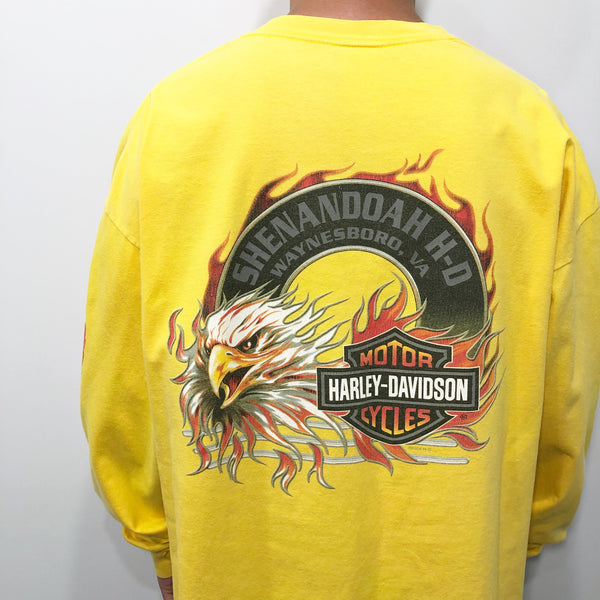 Harley Davidson T-Shirt Waynesboro Virginia USA (2XL)