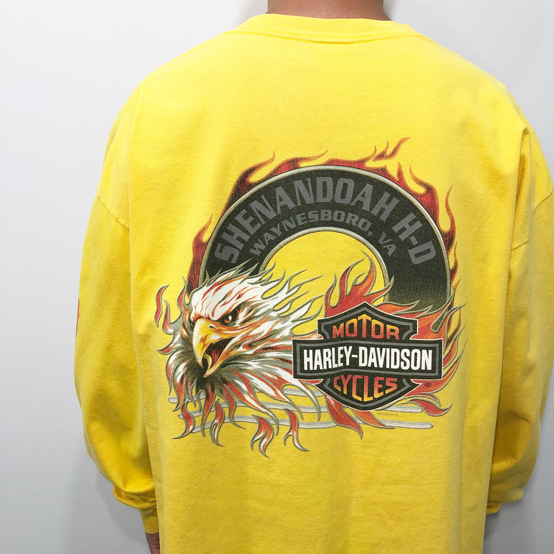 Harley Davidson T-Shirt Waynesboro Virginia USA (2XL)