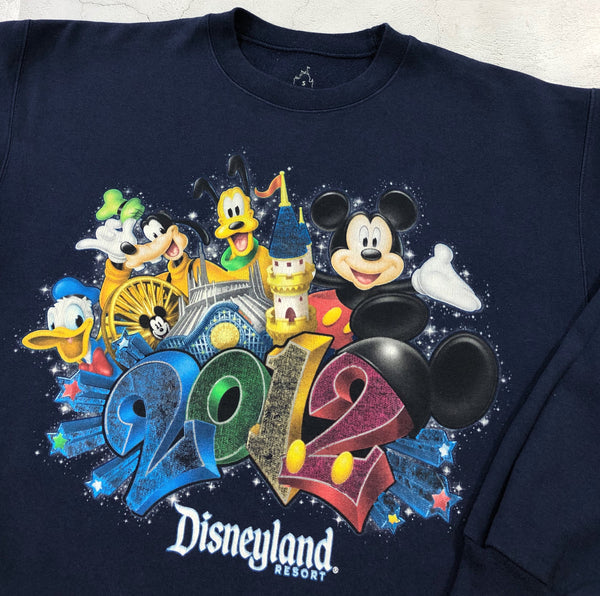Disney Fleeced Sweatshirt 2012 Disneyland Resort (S)