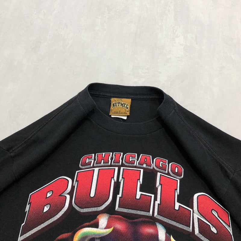 ヴィンテージ 1993 Nutmeg Chicago tシャツ Tシャツ レア s-l400.jpg