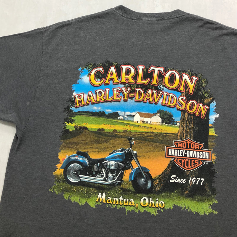 Harley Davidson T-Shirt Mantua Ohio (XL)