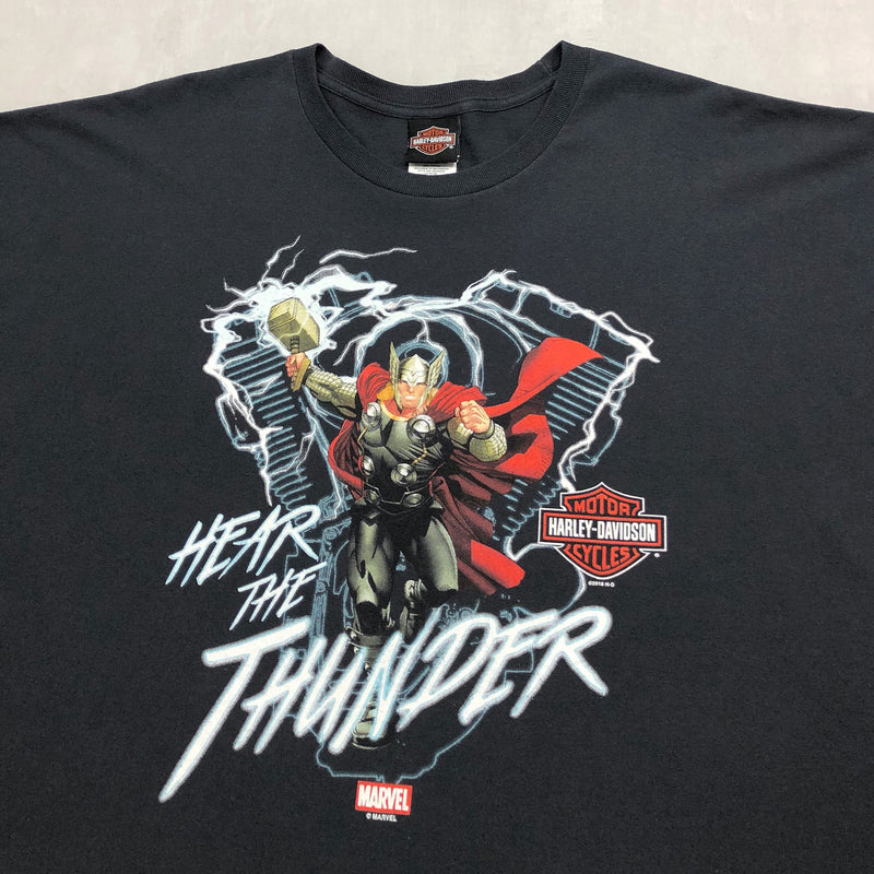 Harley Davidson T-Shirt Arbor Vitae Wisconsin (4XL)