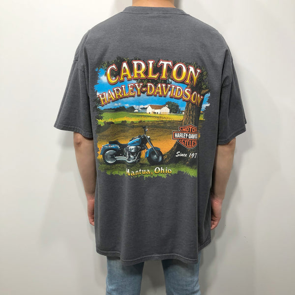Harley Davidson T-Shirt Mantua Ohio (XL)