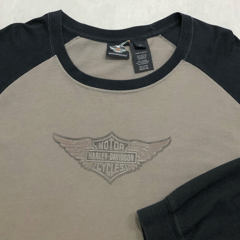 Harley Davidson T-Shirt (XL/TALL)