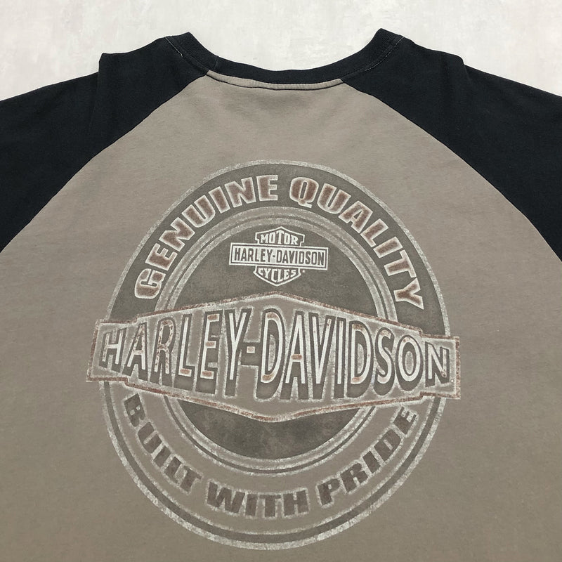 Harley Davidson T-Shirt (XL/TALL)