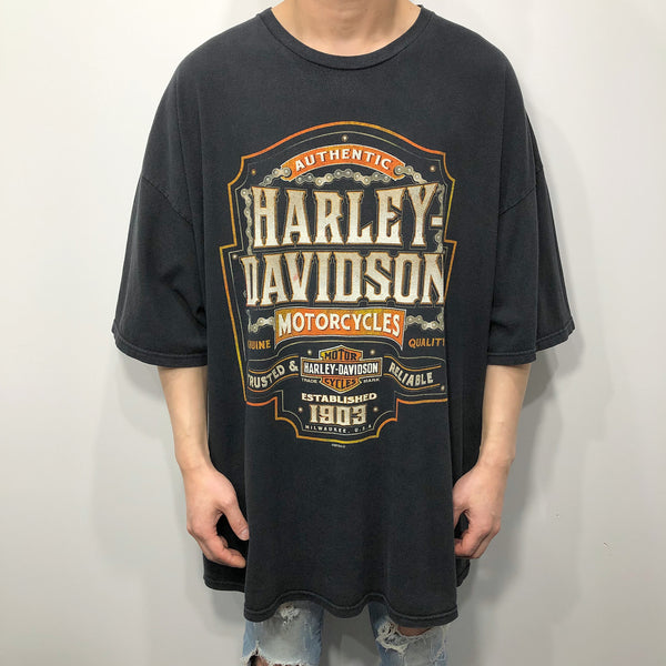 Harley Davidson T-Shirt Libertyville Illinois (3XL)