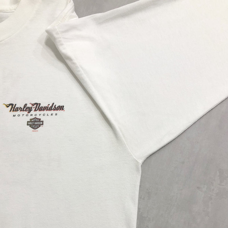 Harley Davidson T-Shirt Wausau Wisconsin (L)