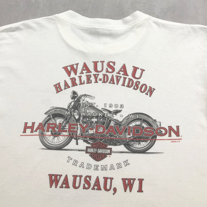 Harley Davidson T-Shirt Wausau Wisconsin (L)