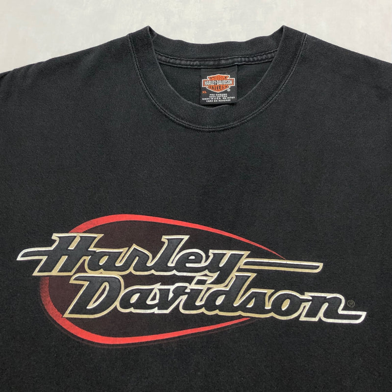 Harley Davidson T-Shirt 2001 Black Hills Rally Sturgis USA (XL)
