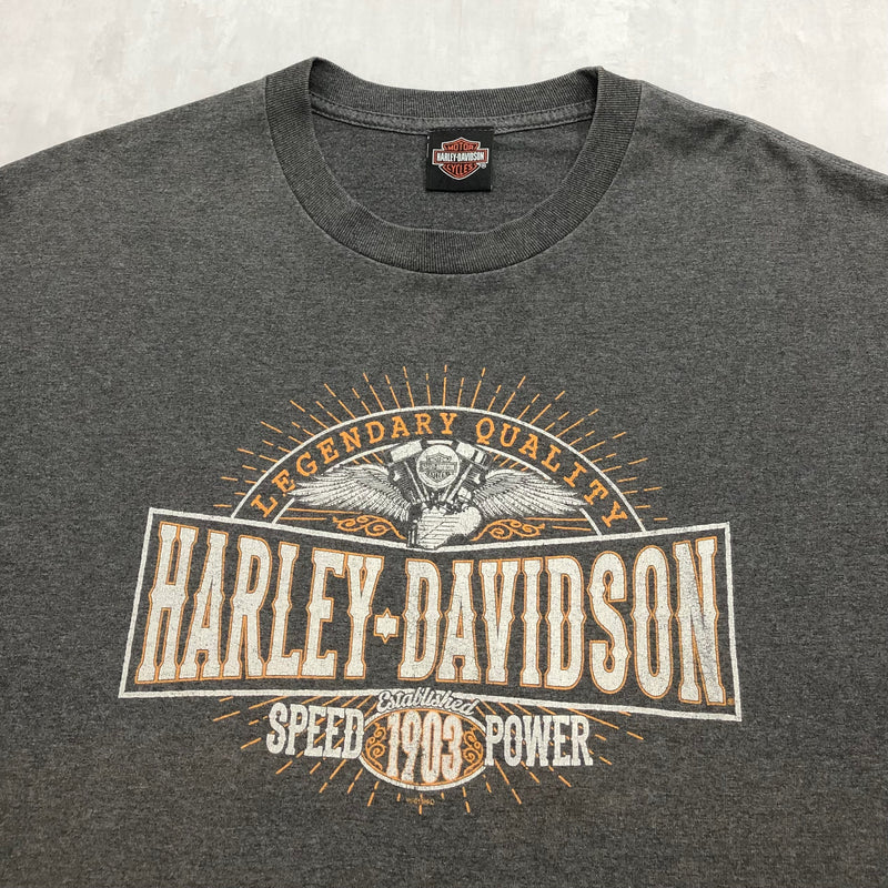 Harley Davidson T-Shirt South Valley (XL)