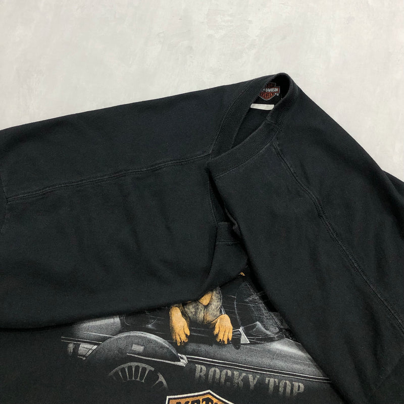 Harley Davidson T-Shirt Pigeon Forge Tennesse (4XL/TALL)